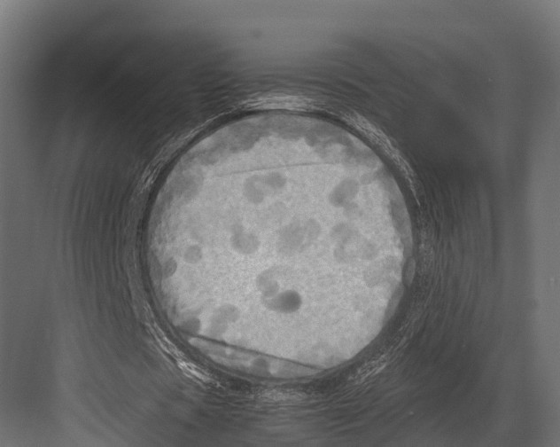 X0000081590529200702121516