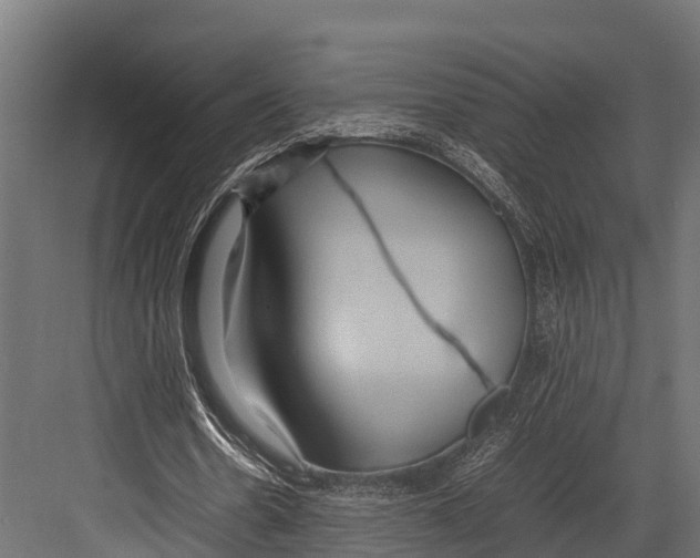 X0000081590530200702121516