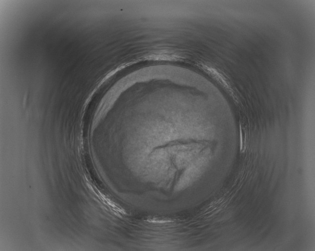 X0000081590531200702121516