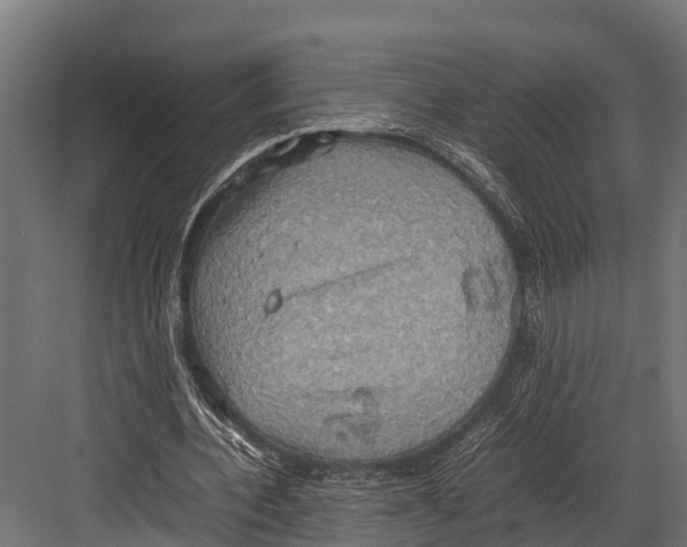 X0000081590532200702121516