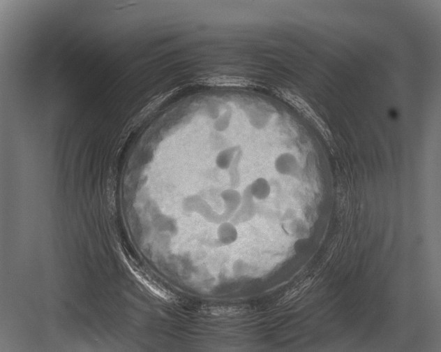 X0000081590533200702121516