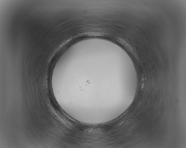 X0000081590535200702121516