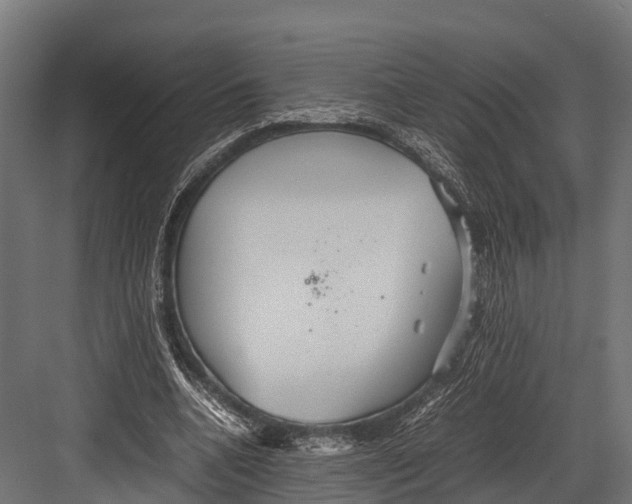 X0000081590536200702121516