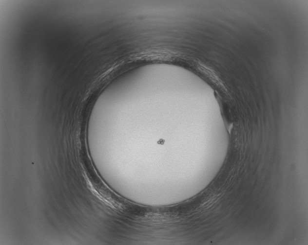 X0000081590538200702121516