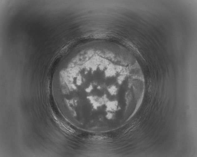 X0000081590542200702121516