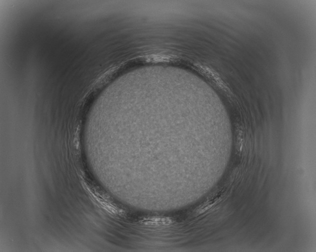 X0000081590543200702121517