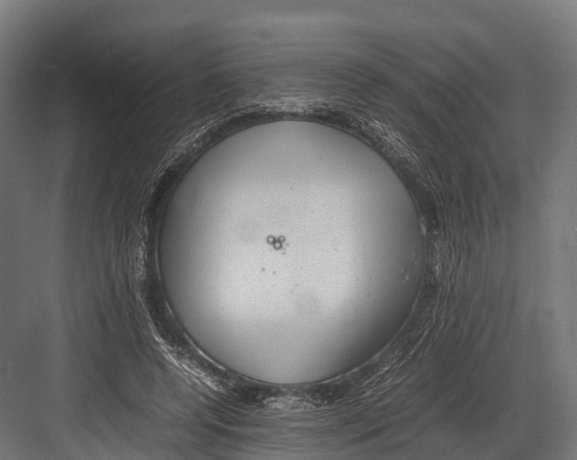 X0000081590544200702121517