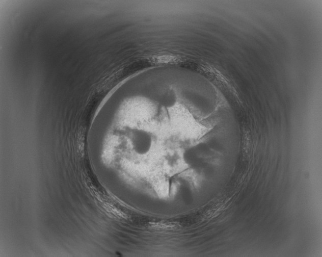 X0000081590545200702121517