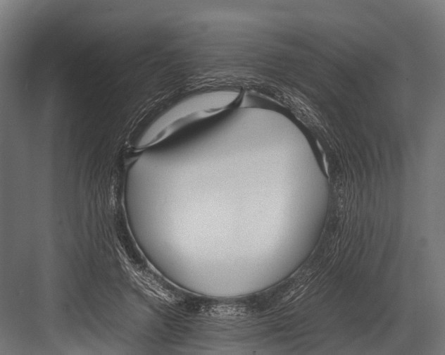 X0000081590546200702121517