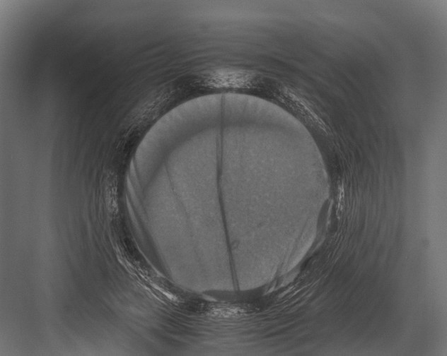 X0000081590547200702121517