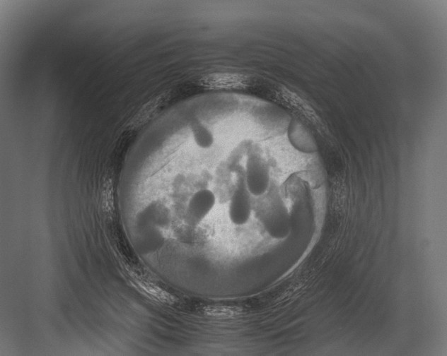 X0000081590549200702121517