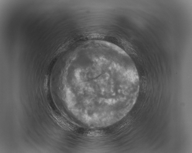 X0000081590550200702121517