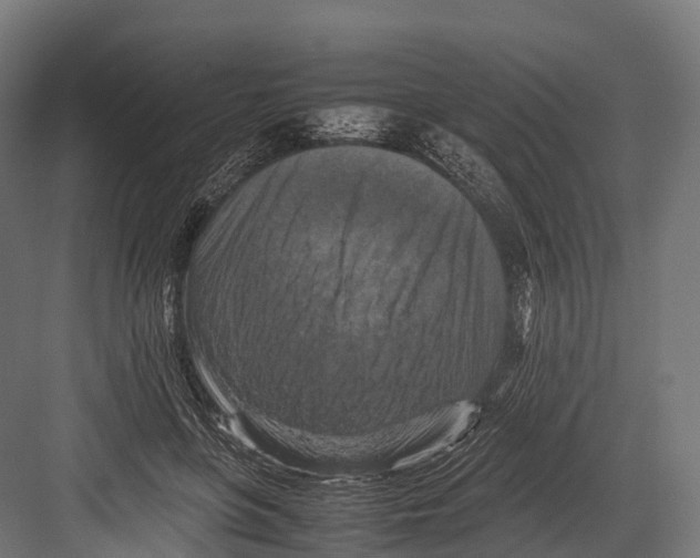 X0000081590551200702121517