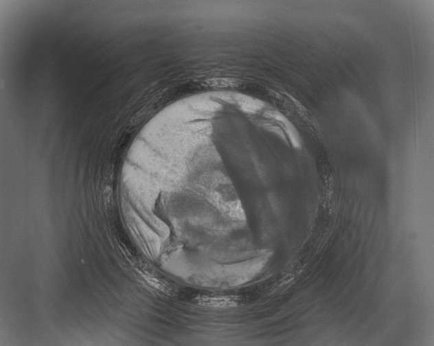 X0000081590553200702121517