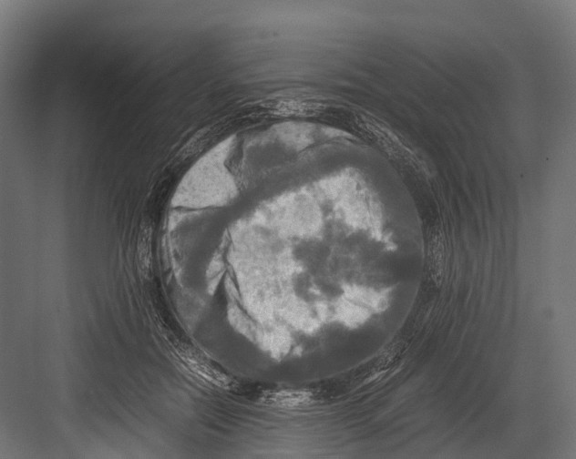 X0000081590554200702121517