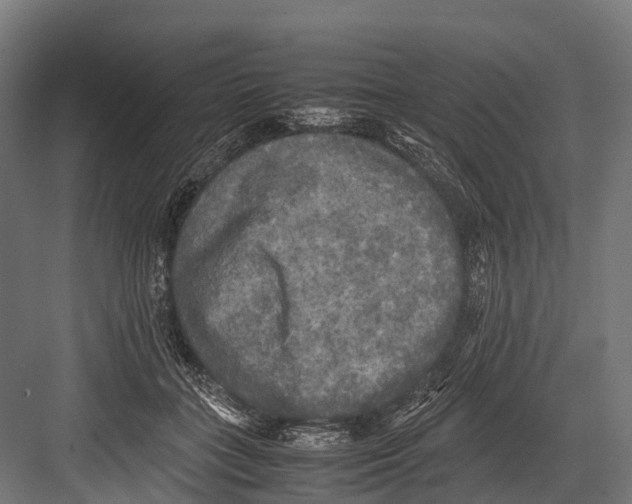 X0000081590555200702121517