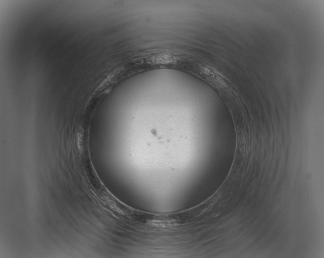 X0000081590556200702121517