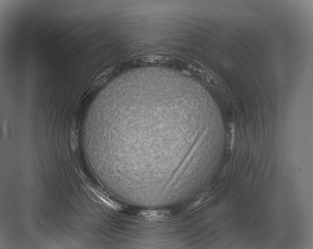 X0000081590558200702121517