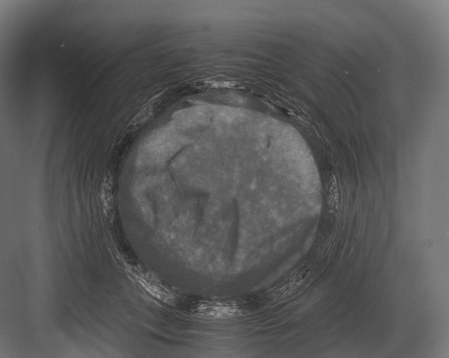 X0000081590559200702121517