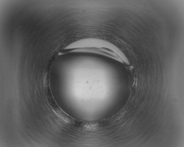 X0000081590560200702121517