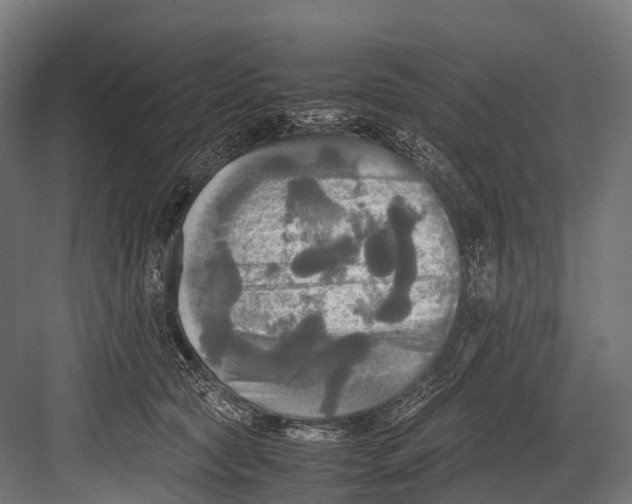 X0000081590561200702121517