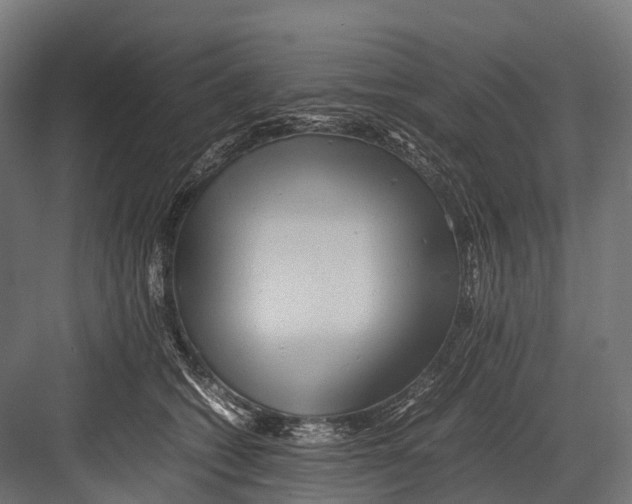 X0000081590562200702121517