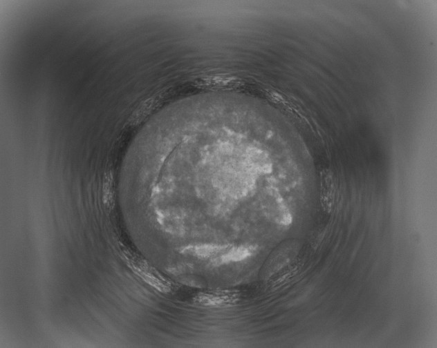 X0000081590563200702121517