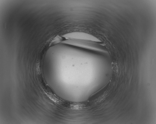 X0000081590564200702121517