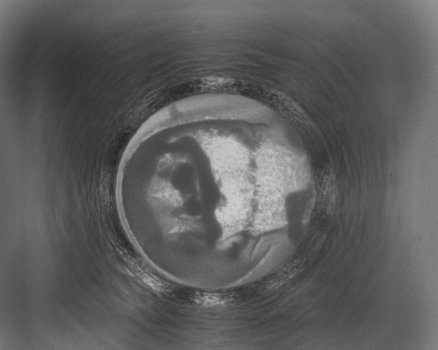 X0000081590565200702121517