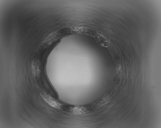 X0000081590566200702121517