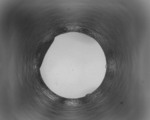 X0000081590567200702121517