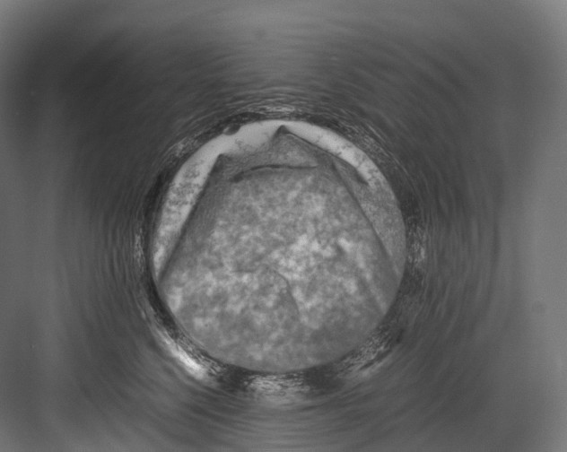 X0000081590568200702121517