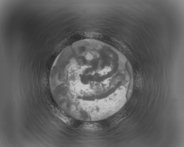 X0000081590569200702121517