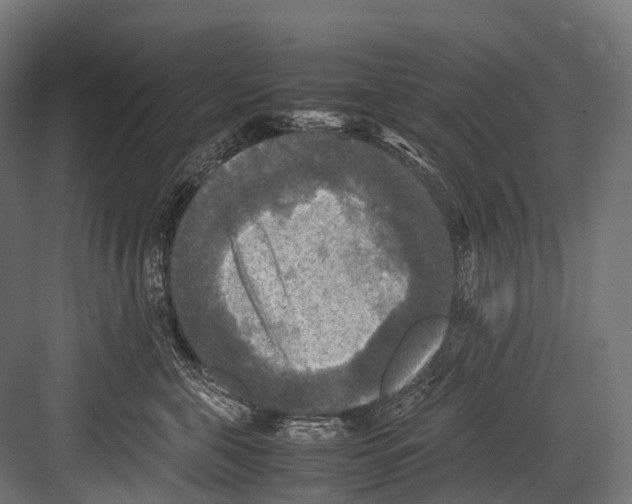 X0000081590571200702121517