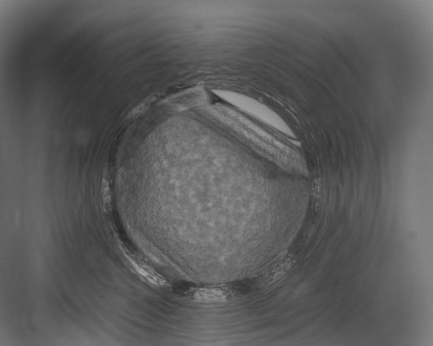 X0000081590572200702121517