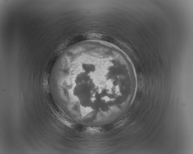 X0000081590573200702121517