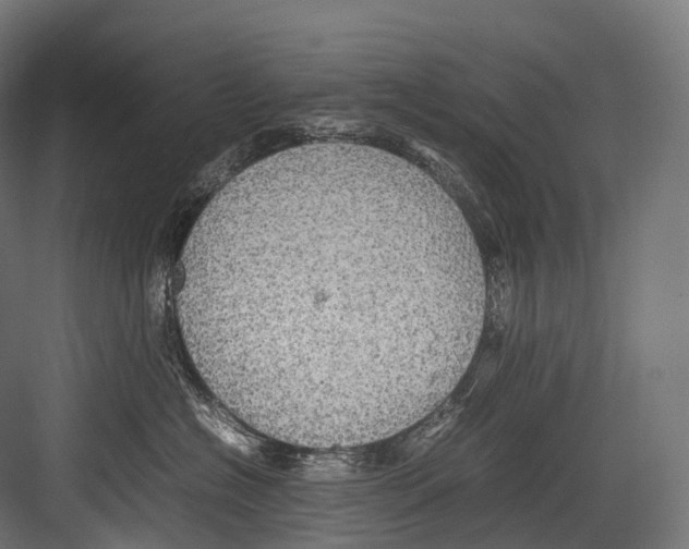 X0000081590574200702121517