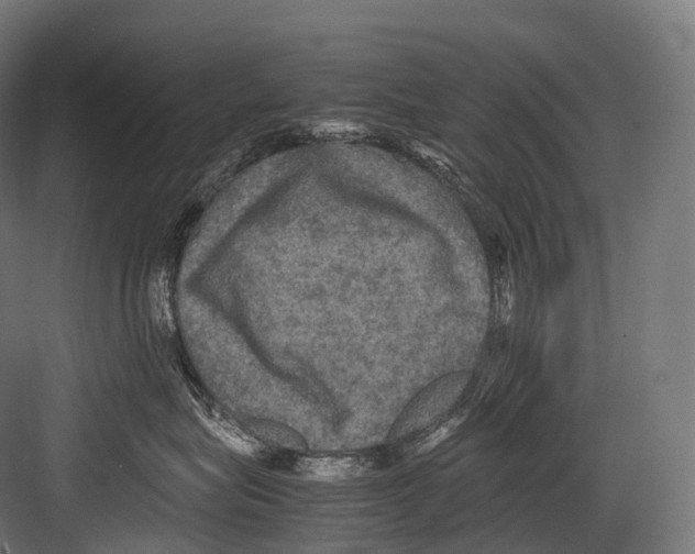 X0000081590575200702121517