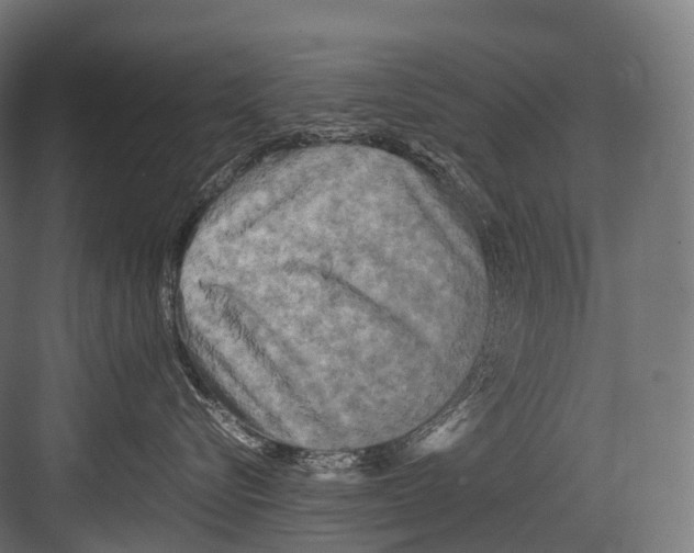 X0000081590576200702121517