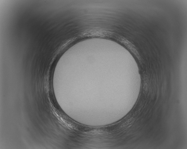 X0000081590578200702121516