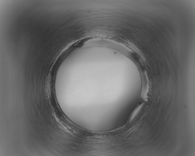 X0000081590580200702121516