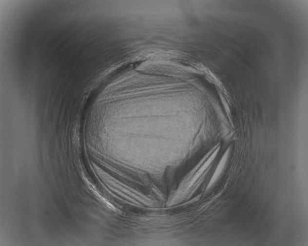 X0000081590581200702121516