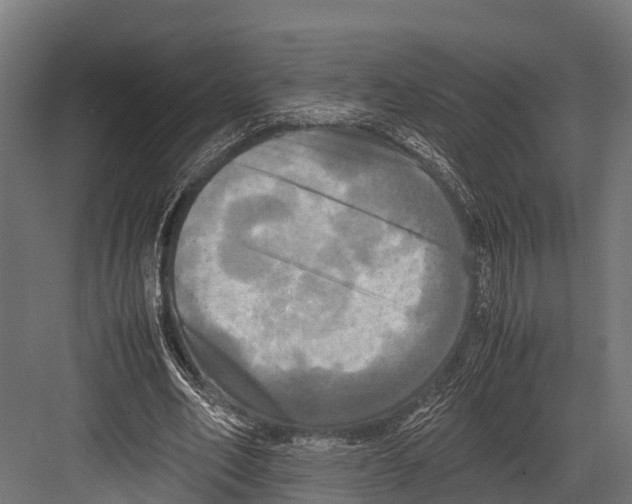 X0000081590582200702121516