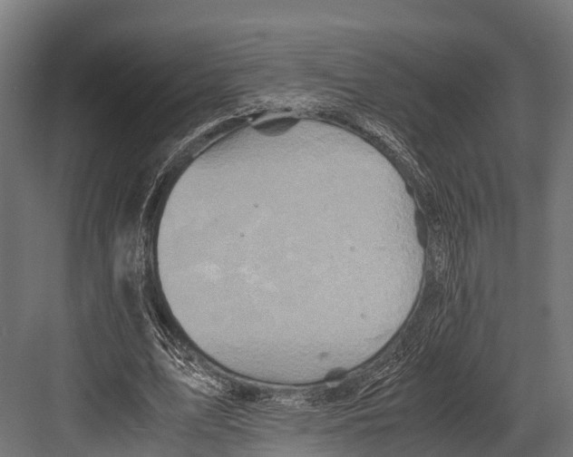 X0000081590583200702121516