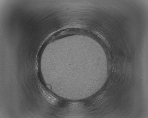 X0000081590584200702121516