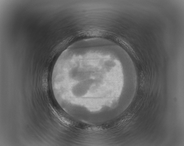 X0000081590586200702121516