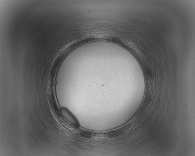 X0000081590587200702121516