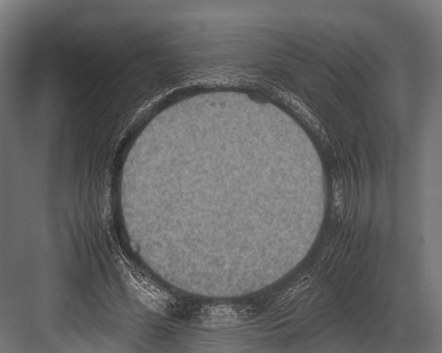 X0000081590588200702121516