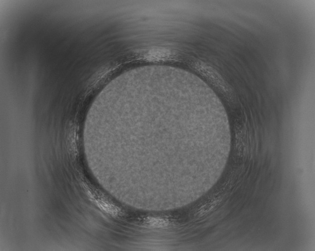 X0000081590592200702121516