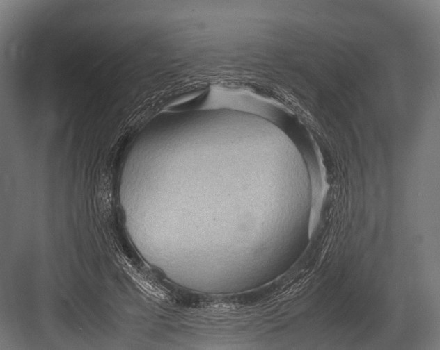 X0000081590593200702121516